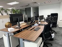 Vertex (D14), Factory #560828411